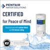 Pentair Pentek DGD-2501 Big Blue Water Filter, 10-Inch Whole House