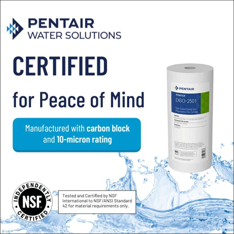 Pentair Pentek DGD-2501 Big Blue Water Filter, 10-Inch Whole House