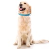 SGODA Martingale Dog Collar, Reflective Nylon Padded Dog Training Collars