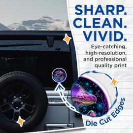 (2 Pack) Psychedelic Mushroom Stickers - Trippy Art - Glow in The Dark Mushroom Decals - 5" On Longest Side - Sticks to Smooth Flat Surfaces - Made in USA - BMCS6648