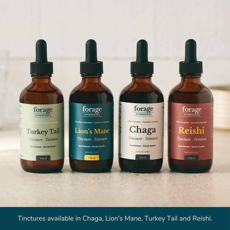 Chaga Mushroom Tincture, With Chaga Extract for Excellent Digestive and