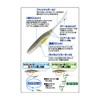 Owner Worm GN-28 Justerfish 2.5" No: 82931#48 Blue Pig