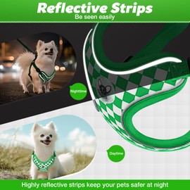 Cawjug Dog Harness and Leash Set, Soft Mesh No Pull Adjustable Reflective Step-in Vest Harnesses for Puppies Extra-Small/Small Medium Dogs, Lightweight Easy Walk Small Dog Harness(Green, L)