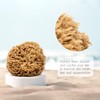 NAROA Natural Soft Loofah Sea Sponges for Bath & Shower