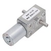 Turbo Worm Geared Motor 2 Shaft High Torsion Micro Gearbox