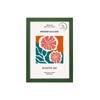 Green A4 size Rainbow Colour Picture Frame