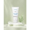 Ipsom Vegan Mildly Acidic pH5.5 Ultra Calming Cleanser, 1 piece, 120ml / 입솜 비건 약산성 pH5.5 울트라 카밍 클렌저, 1개, 120ml