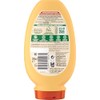 Garnier Hair Conditioner (with Ice Treasures) – 250 ml