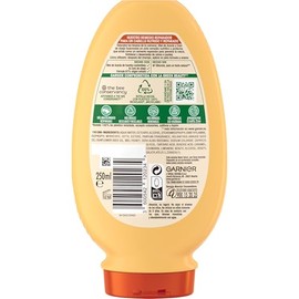 Garnier Hair Conditioner (with Ice Treasures) – 250 ml
