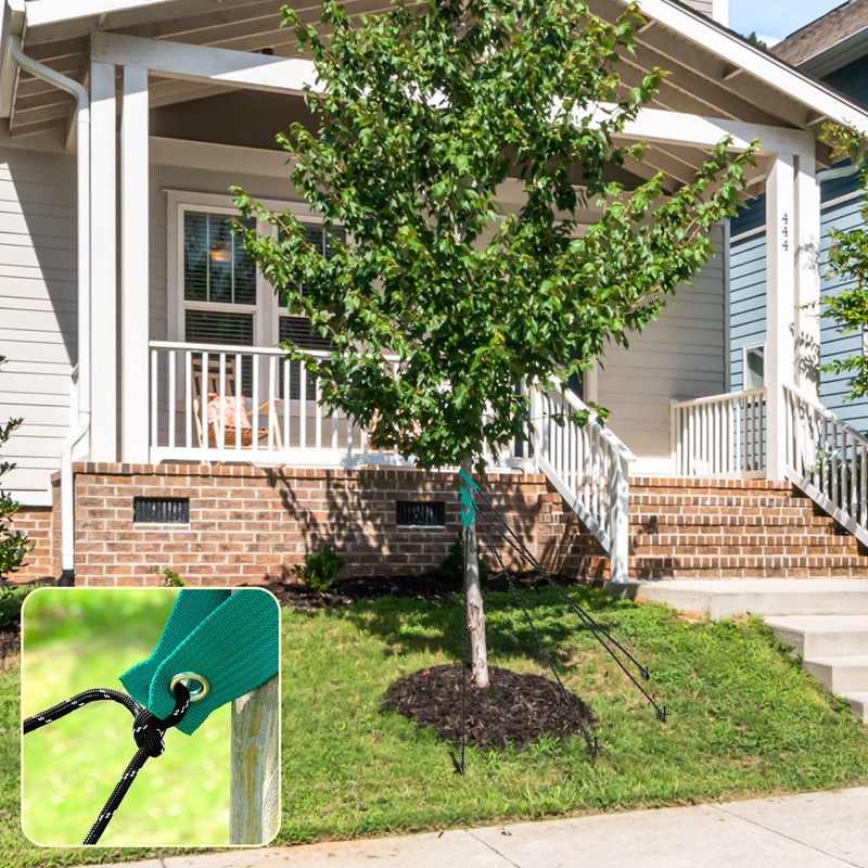 UCandy Heavy Duty Steel Tree Stake Kits with Straps and