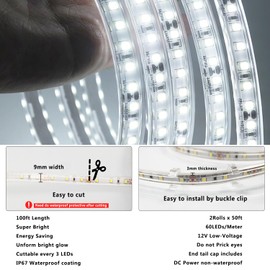 RYGDENG 100FT Outdoor LED Strip Lights Waterproof, Flat Rope Lights for Outside, Strip Lights for Bedroom, Dimmable 12V Low Voltage Rope Light, DIY Strip Lighting 6000K(2 Rolls of 50FT)