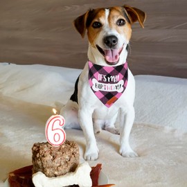 PTDECOR Dog Birthday Party Supplies, It’s My Birthday Dog Bandana Pink Plaid Girl Dog Birthday Bandana for Medium Large Dogs (Pink, Large)