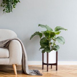 D'vine Dev Planter Pot with Stand - 10 Inch Plastic Cylinder Flower Pot with Wood Planter Holder for Indoor, White, 55-C-X-1