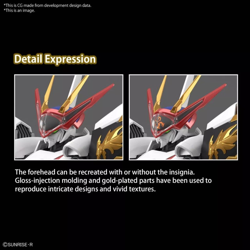 Bandai IMGN Ryuoumaru (HG Amplified)