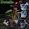 egniFurn 4-Pack Clear Aquarium Plant Holders with Hooks, Ideal for