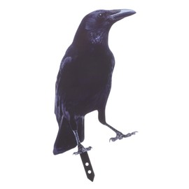 Gatuida Iron Crow Garden Ornament Stake Handmade Wrought Iron Figurine for Year Outdoor Decor Easy Installation for Pathways Flower Beds