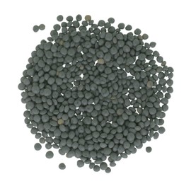 Palouse Brand Black Beluga Lentils Bulk | 25 LBS | Non-GMO | Kosher | Vegan | Non-Irradiated