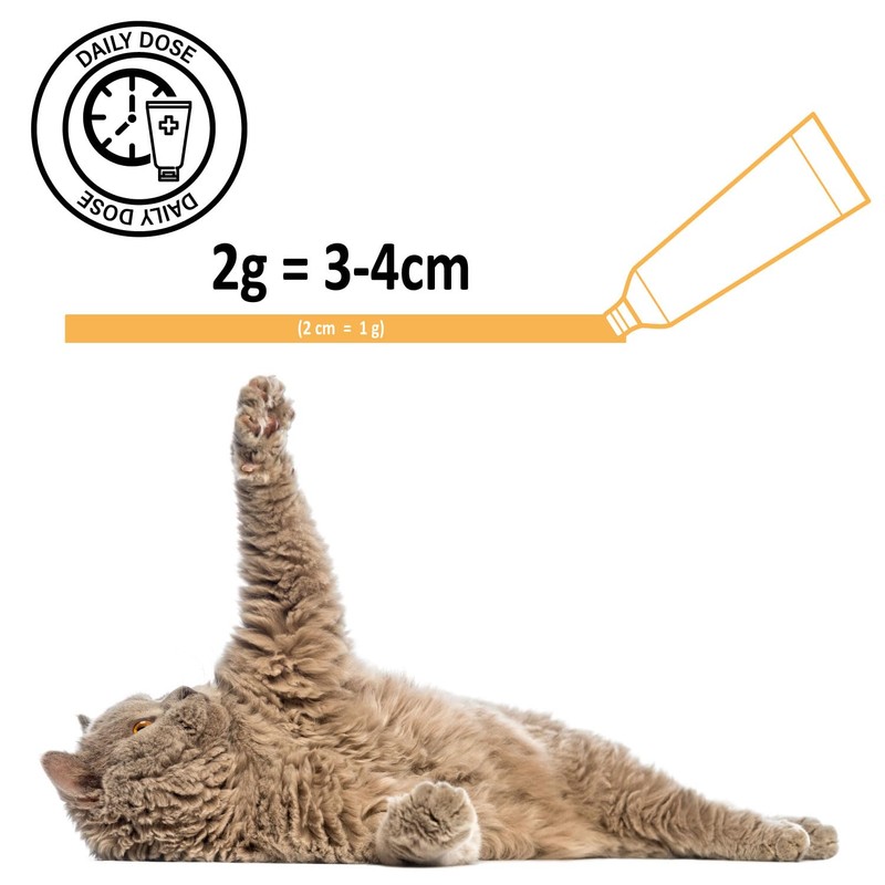 Mersjo Anti-Hairball Cat Paste with Multivitamin 100 g - Dietary