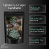 LaPew Cactus Flower Blossom Bundle – Carpet Deodorizer Powder &