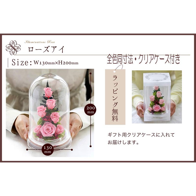 Art Four Seasons PR Preserved Flowers (Pink)