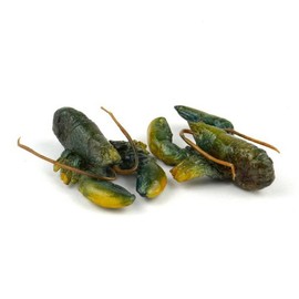 MyTinyWorld Dolls House Miniature Pair Of Dark Green Lobsters