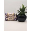 LA FLORENTINA Alighiero Campostrini edition Lavender Vegetable Luxury Soap Bar,