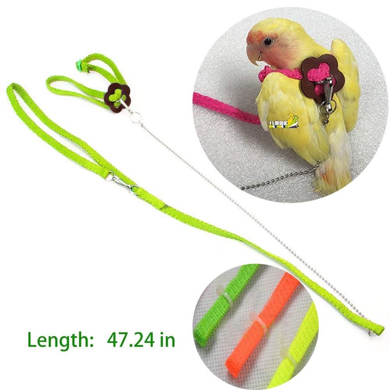 Bonaweite 2 Pack Adjustable Harness Leash, Pet Birds Nylon Anti-bite