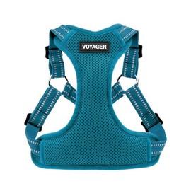 Best Pet Supplies Voyager by Arnés de Malla para Perro Totalmente Ajustable con Ribetes Reflectantes 3M, Turquesa (Ribete a Juego), M (Pecho: 17-21 Pu