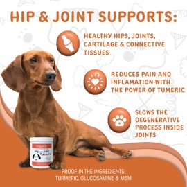 waggedy Hip and Joint Turmeric - Dog Supplements for Joints with Glucosamine & MSM — All-Natural Daily Glucosamine for Dogs to Improve Flexibility & Mobility (60 Dog Chews)