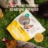 Hatortempt Chicken Feed Granules - 10 lb, Non-GMO - Protein-Rich