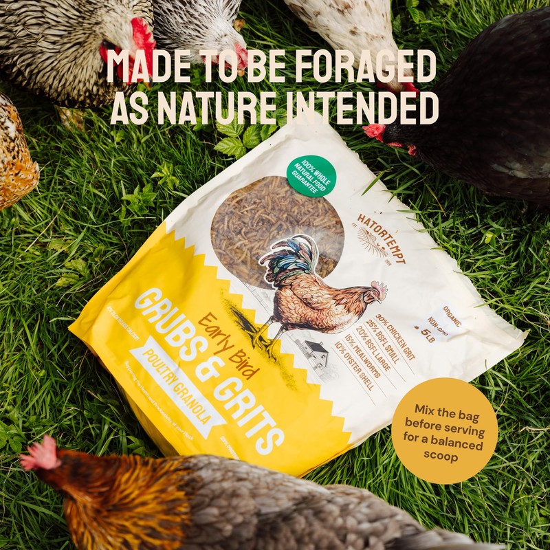 Hatortempt Chicken Feed Granules - 10 lb, Non-GMO - Protein-Rich