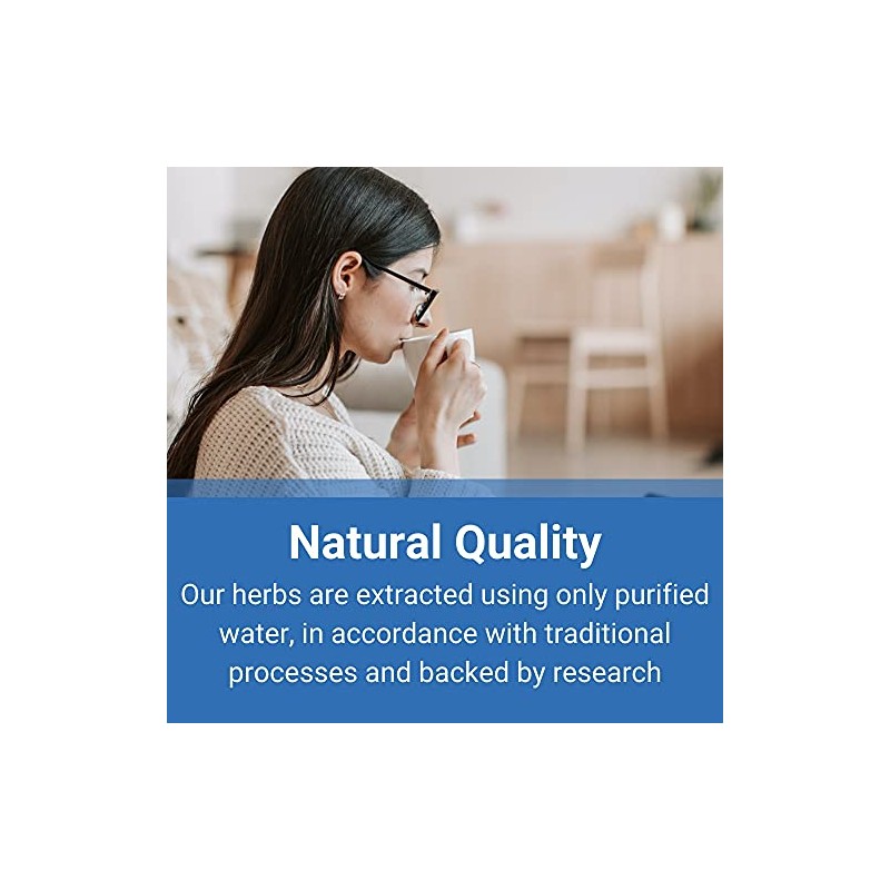 Indigo - Qing Dai Capsules (1:1 Herbal Extracts, 100 Capsules)