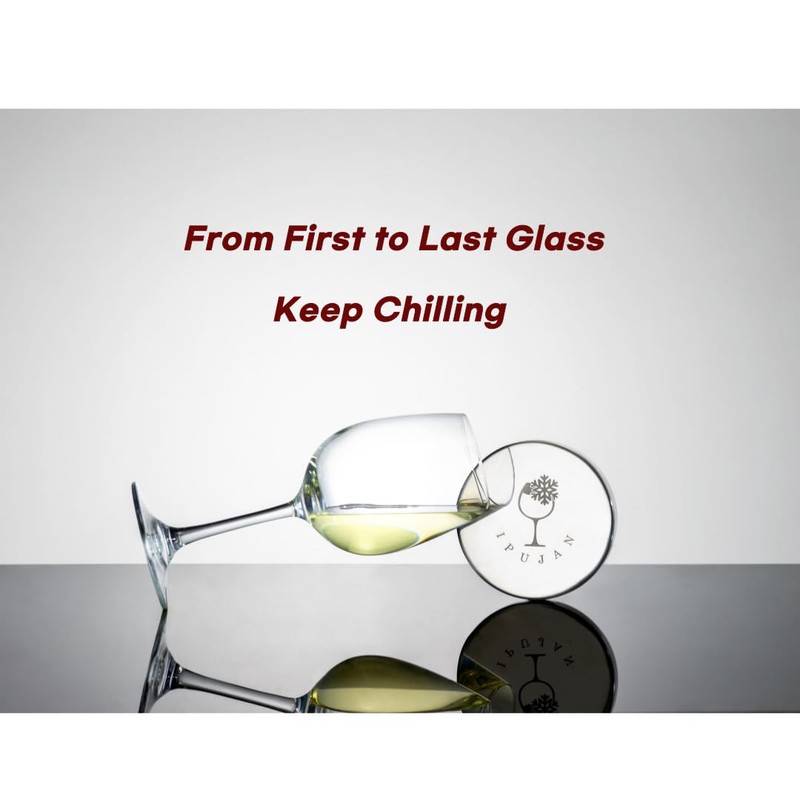IPUJAN Wine Chiller Bucket with Stainless Ice Stone - Champagne