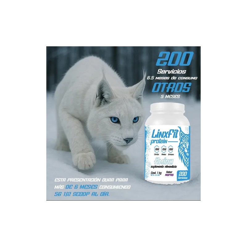 Aminoácidos En Polvo Linx Fit 1kg 200servicios Variossabores
