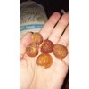 1lb Shep's Organic Soap Nuts (Soap Berries) Natural Organic Laundry