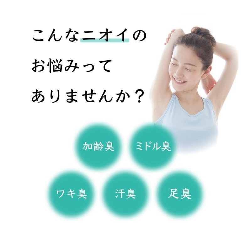 Sje Z28L018 Rinse-In Shampoo, EX (Change Container), Persimmon Shibu Extract,