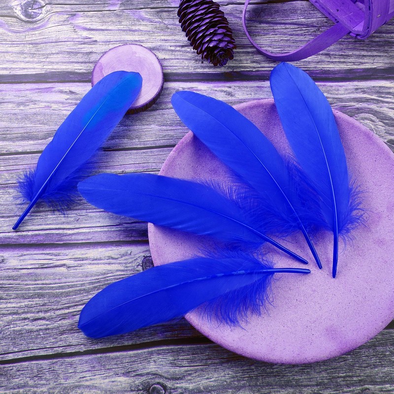 Ballinger Royal Blue Large Goose Feather Bulk for Crafts,120Pcs,6-8inch