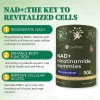 Gwynne Nad+ Nicotinamida Ribosida Liposomal Con Resveratrol Y Quercetina Suplementos