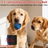 Yipetor Interactive Dog Toys, [Newly Upgraded] 3.3'' Durable Rubber Vibrating