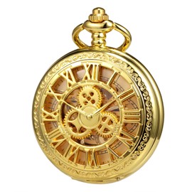 TREEWETO Pocket Watch with Chain Men's Analogue Hand Winding Double Hinge Antique Gear Roman Numerals Bronze Black Gold, gold, Classic