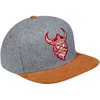 Cadency® Viking Snapback Cap, Grey, Unisex, Adjustable Size, gray, One