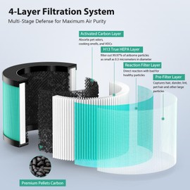 CFKREYA 2 Pack MK01 MK06 TZ-K1 Air Filter Replacement Compatible with AROEVE MK01 MK06 MG01JH, ToLife TZ-K1 and Kloudi DH-JH01 Air Puri-Fier, 4-in-1 Replacement Filter, Pet Dander Version