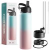 Brewberry Stainless Steel Insulated Water Bottle and Travel Mug for
