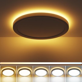 zemty LED Bathroom Light 24W 2400LM, 5 Color Temperatures Flush Ceiling Light Modern, Waterproof Night Light for Bedroom, Kitchen, Living Room, Hallway, Porch Ø29.5CM