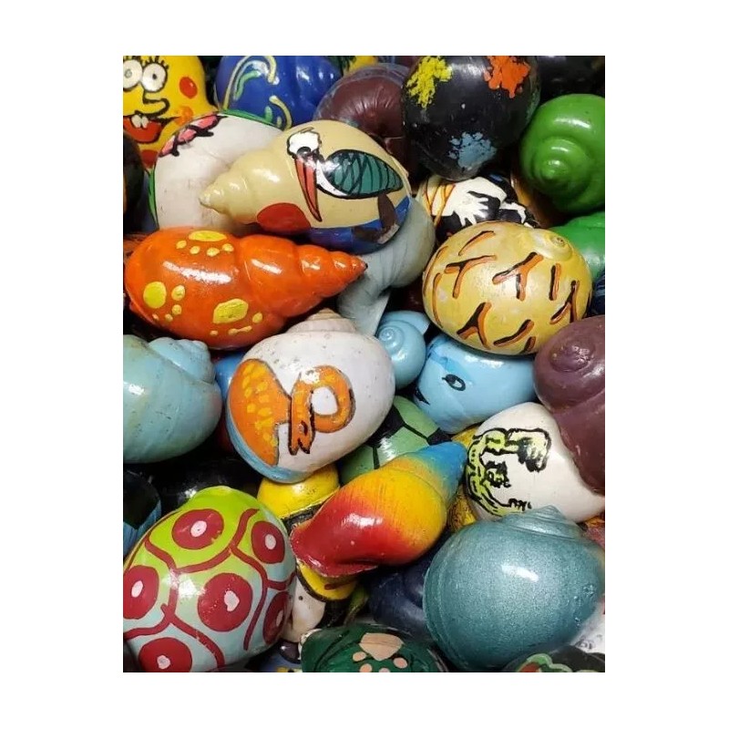 3 RANDOM Painted Hermit Crab Shell Turbo Novelty Aprox 1