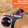 Essential Dog Harness, No Pull Pet Harness with 3 Side