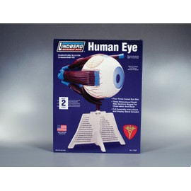 Lindberg Human Eye