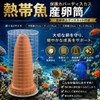 Startside Tropical Fish with Protective Net Cover for Frying/Spawning/Breeding/Discus/Aquarium/Bleeding/Egg-Prevention/Earthenware (Brown