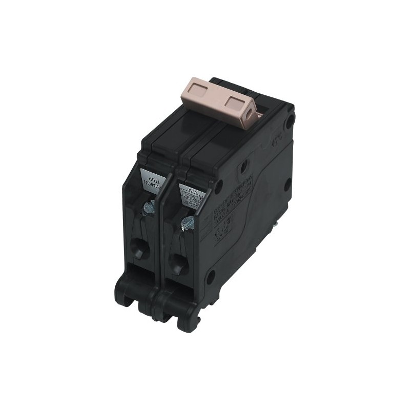Connecticut Electric EATON CORP CH2100 Circuit Breaker, 2-Pole 100-Amp, Black
