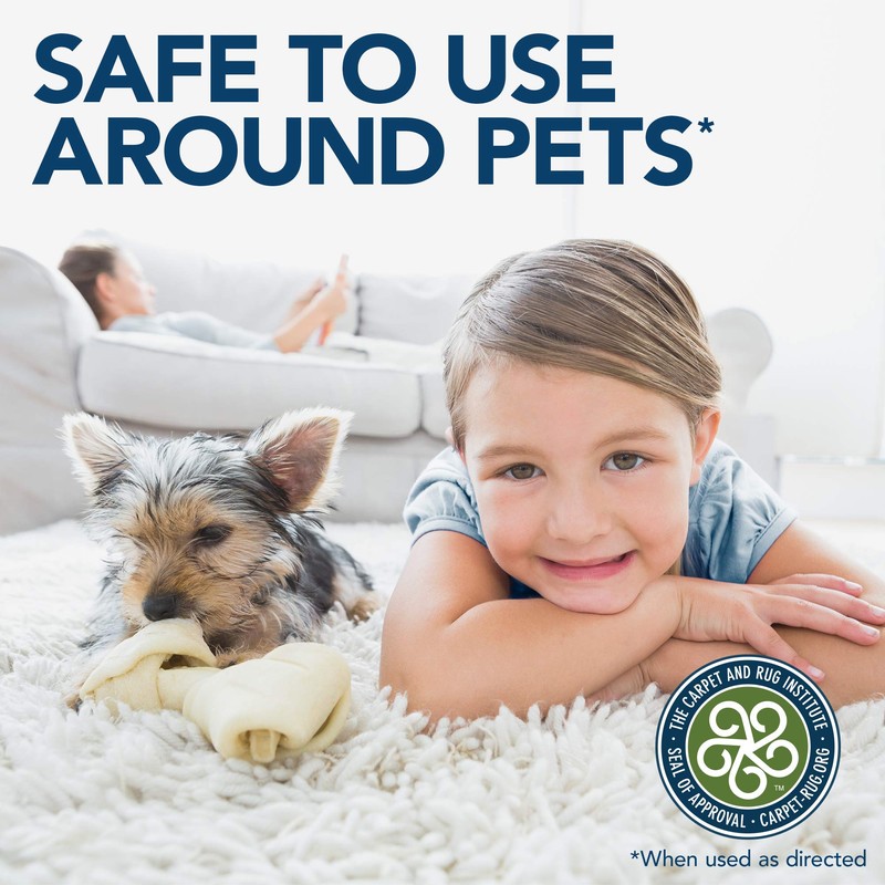 Simple Solution Stain and Odor Eliminator Spray for Dogs &